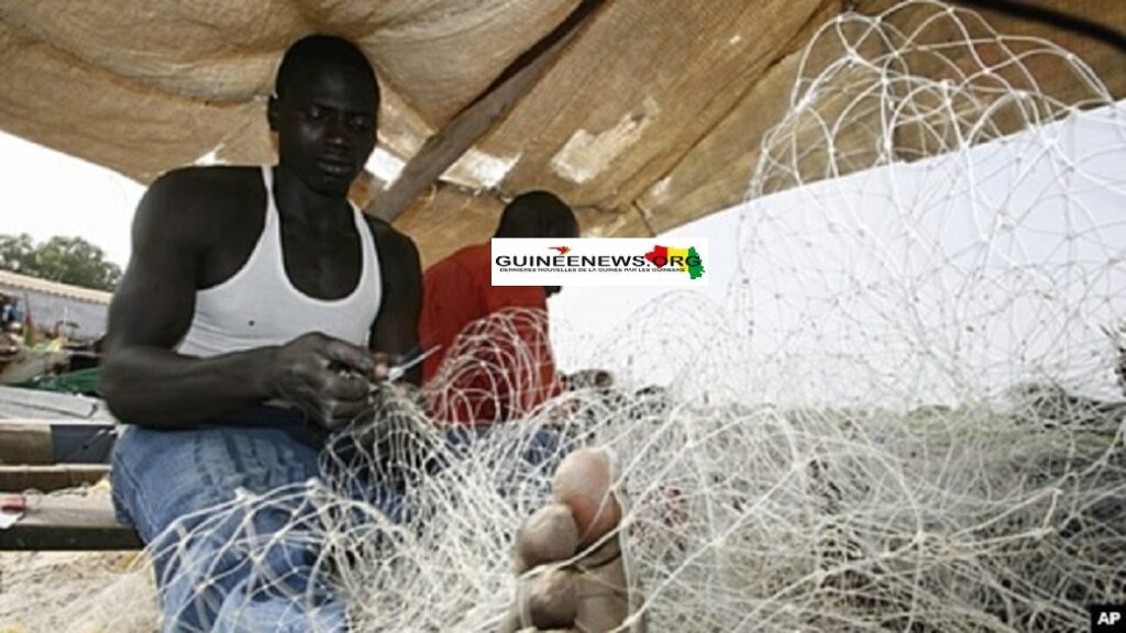 Pêches : les filets monofilaments en nylon interdits en Guinée (officiel) –  Guinéenews©