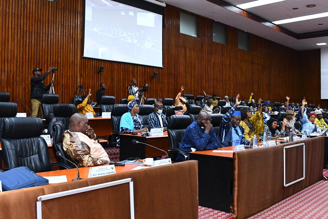 Guinée : le CNT adopte la loi sur la création l’Autorité de Régulation du Contenu Local (ARCL)
