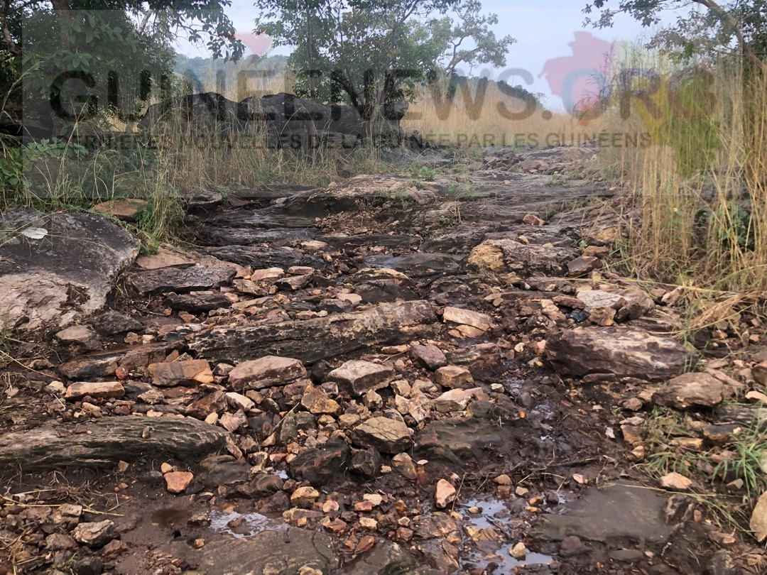 Malanta à bout de souffle: sur l’une des pires routes à Gaoual