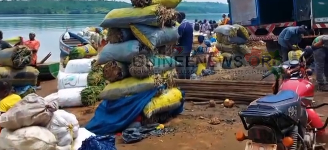 Samaya/Kindia : une terre de ichesses agricoles freinée par le manque de routes.