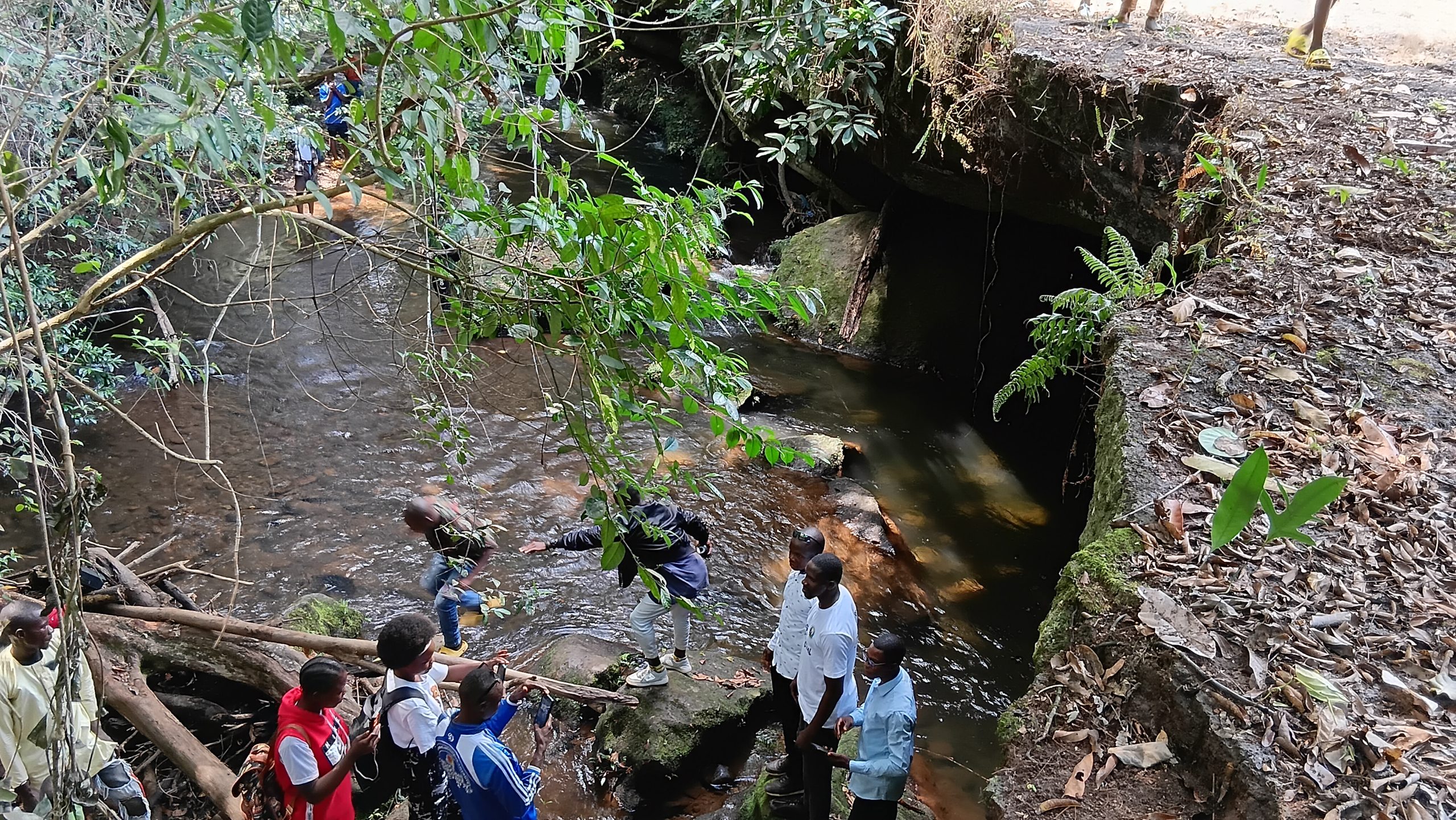 Lola : le pont naturel de Bossou, chef-d’œuvre géologique et attraction incontournable