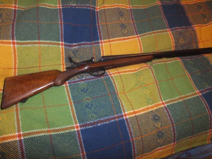 Boffa : un chasseur tue accidentellement son ami dans la forêt de Missira