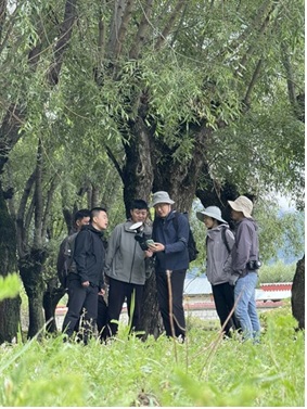 Comment créer un « registre vert » pour les 142,6 milliards d’arbres de Chine