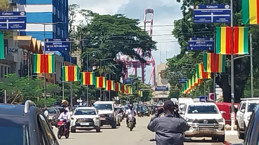 RGPH-4 : la Guinée franchit le cap des 17,5 millions d’habitants