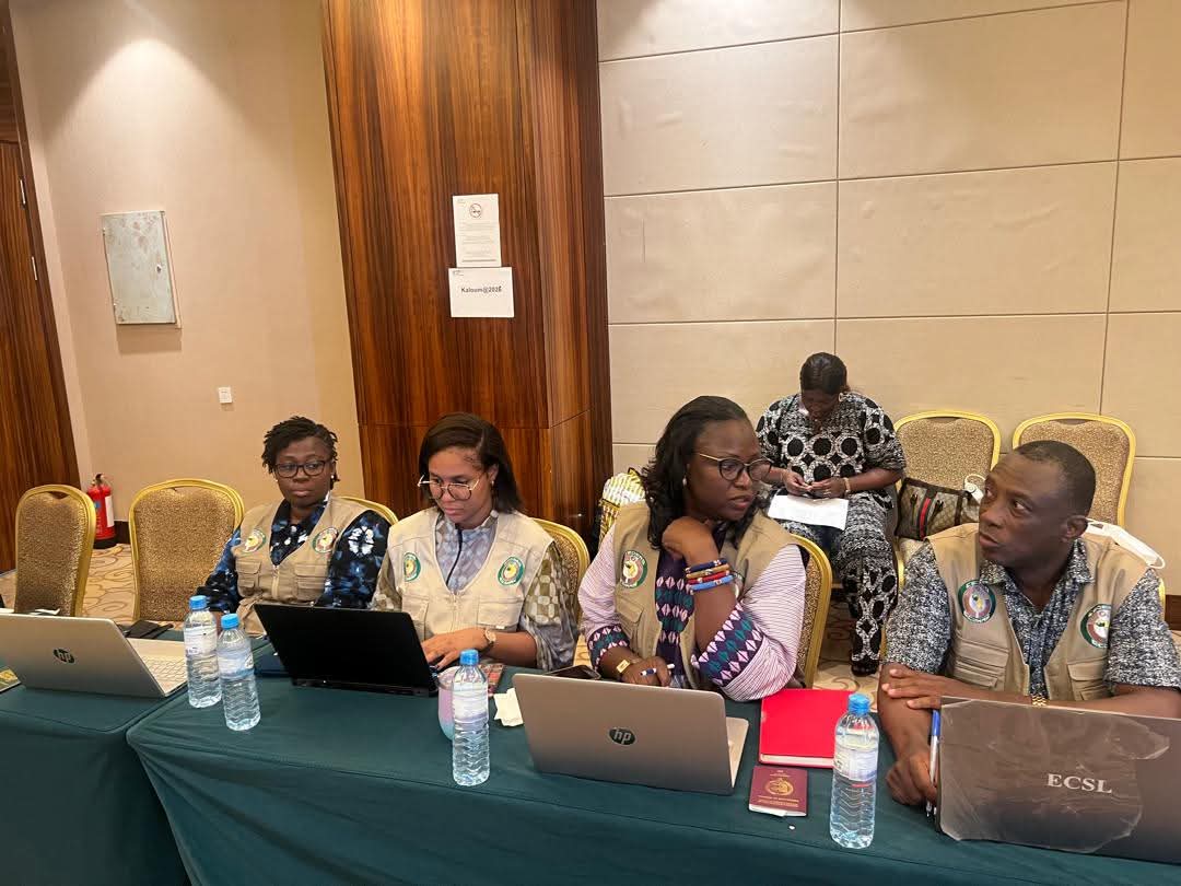 Présidentielle en Guinée : la CEDEAO déploie une mission d’observation à moyen terme