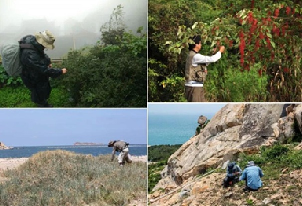 A Shanghai, 100 millions d’échantillons de graines sauvegardent la biodiversité