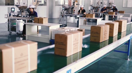 Anhui : à Chizhou, avec une production annuelle de 2 milliards, les pailles de bambou locales sont vertes et augmentent les revenus