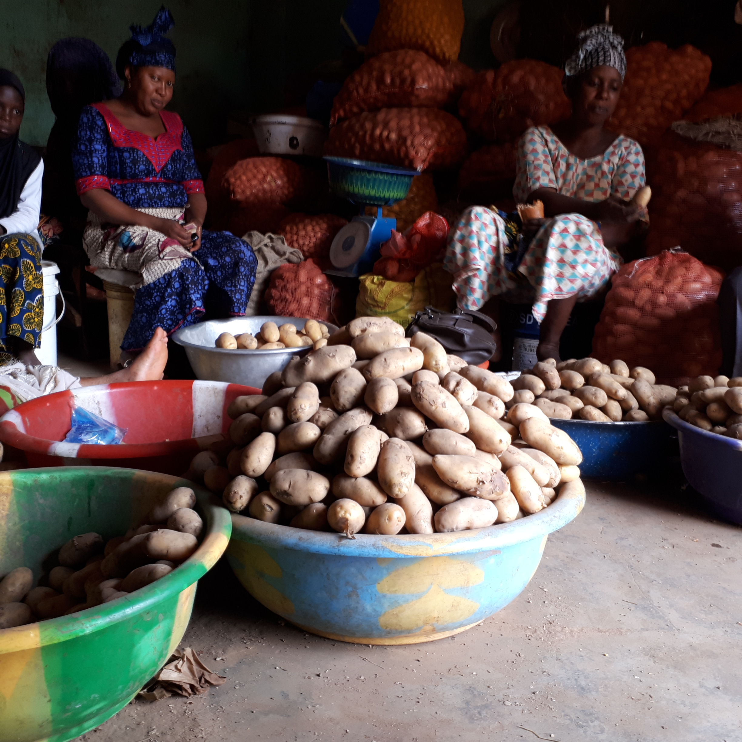 Flambèe du prix de la pomme de terre à Labé : le kilogramme atteint les 13 000 GNF