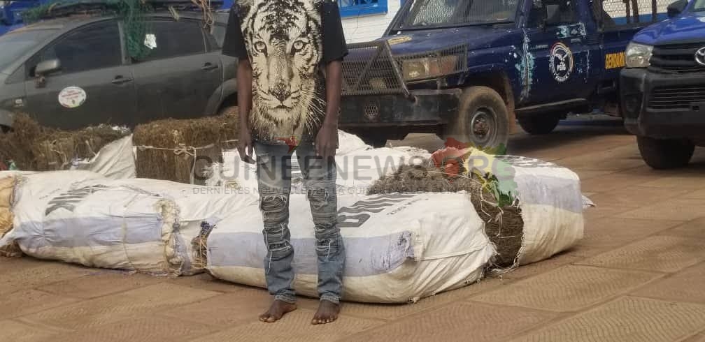 Criminalité à Kindia : Un présumé violeur et un trafiquant arrêtés