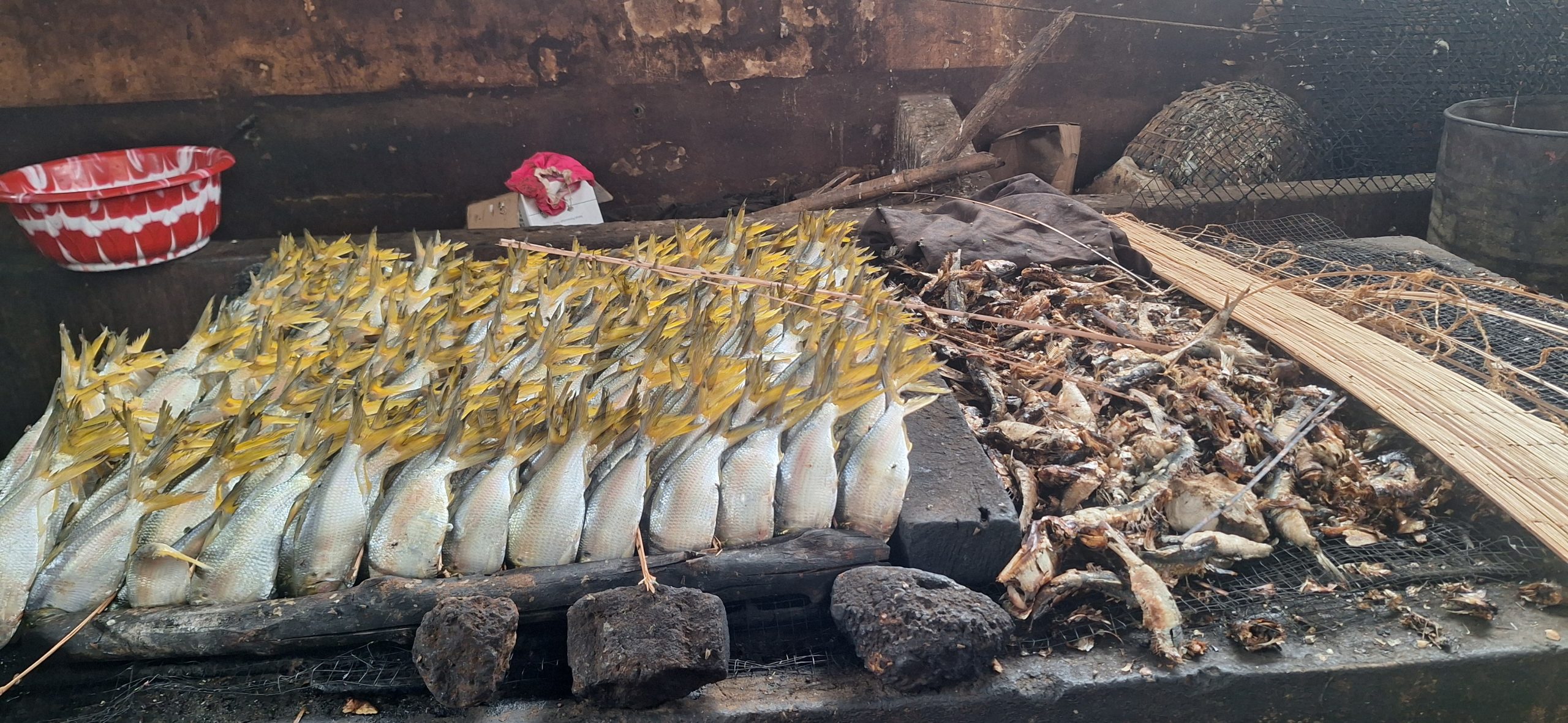 Dubréka : le commerce du poisson, entre débrouille et lourdes pertes