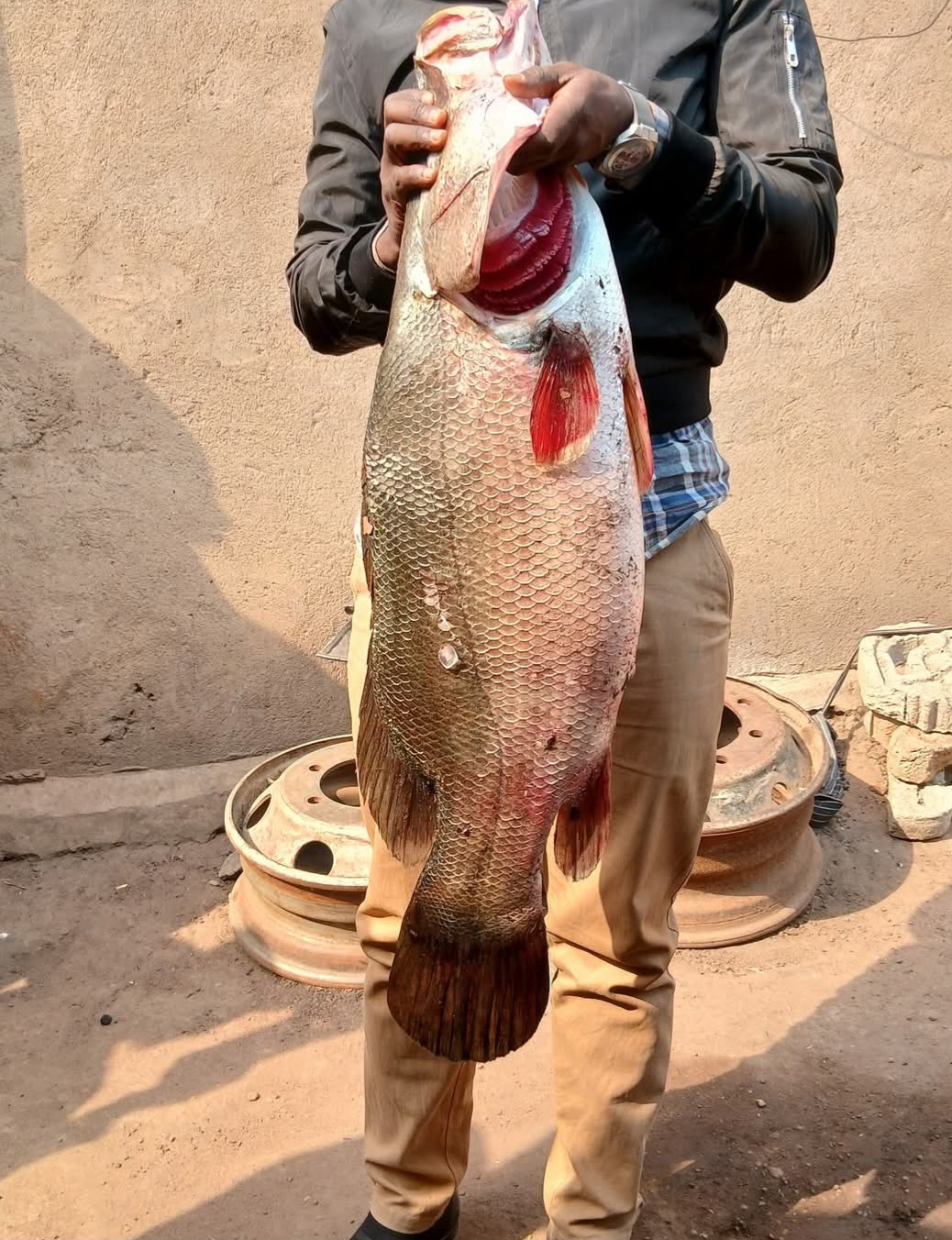 La pêche à Guéasso/Lola : une prise exceptionnelle de 24 kilogrammes de Polydactylus quadrifilis