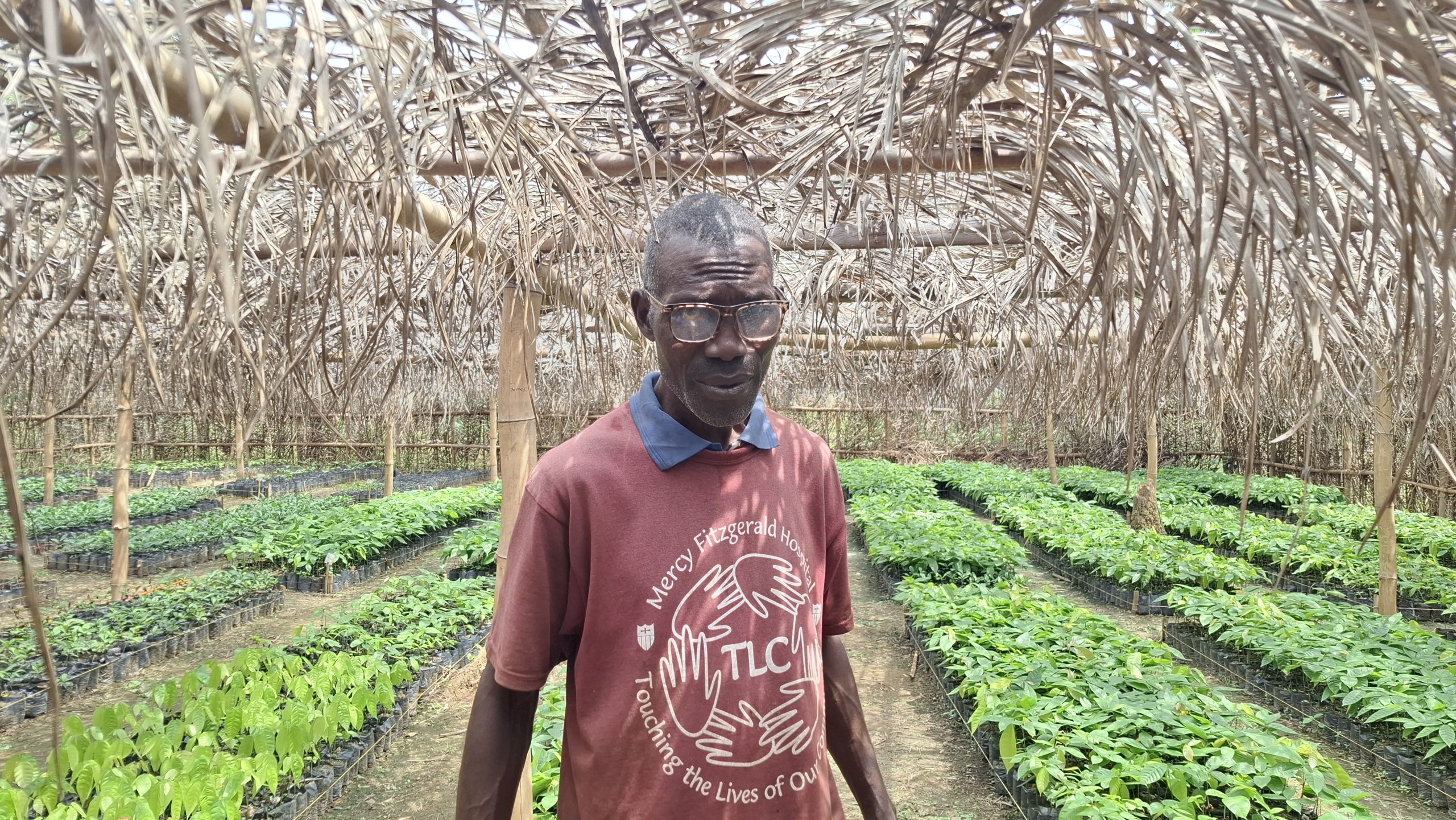 N’Zérékoré : à la rencontre de Papa Théa, l’ouvrier agricole devenu entrepreneur rural