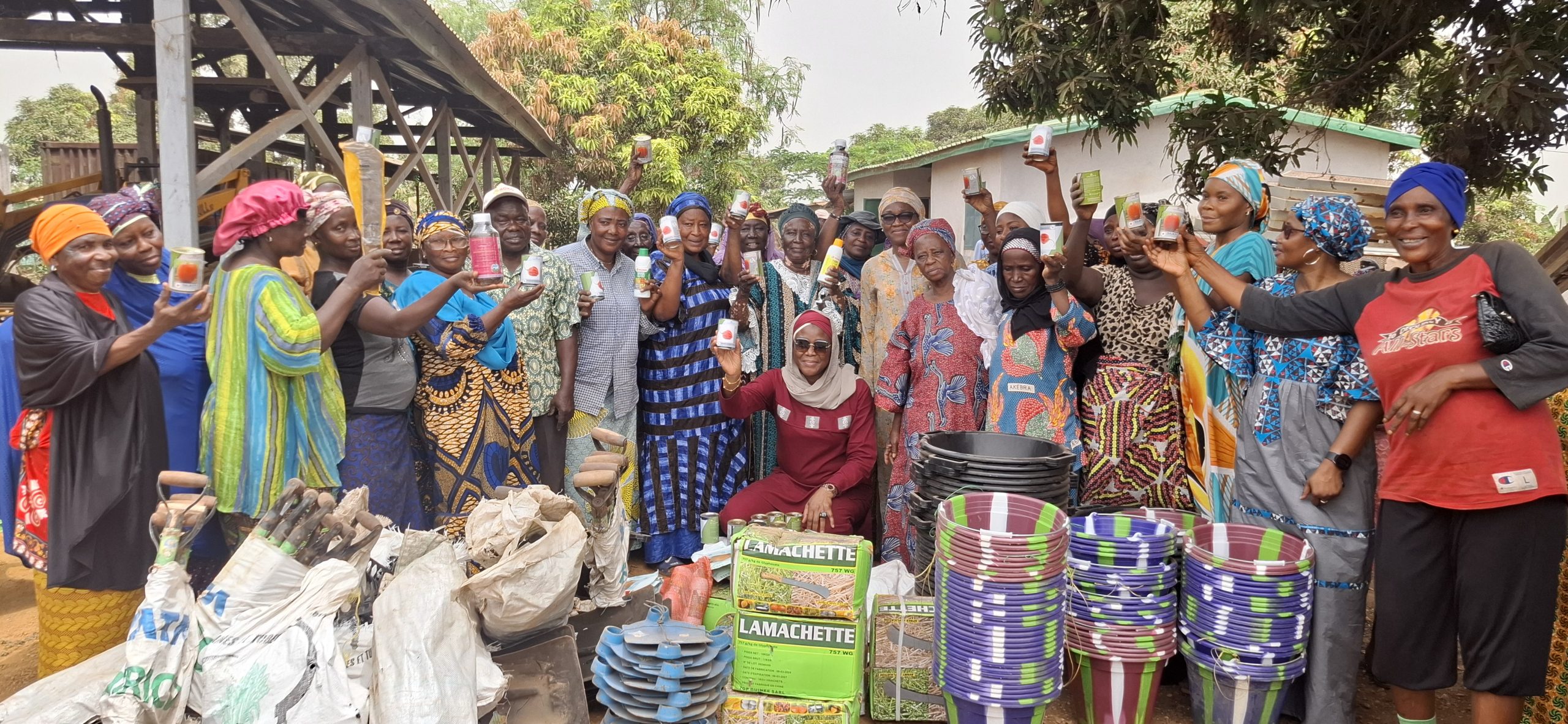 Pression démographique et défis agricoles : la ministre Aminata Kaba écoute les maraîchères de Sonfonia