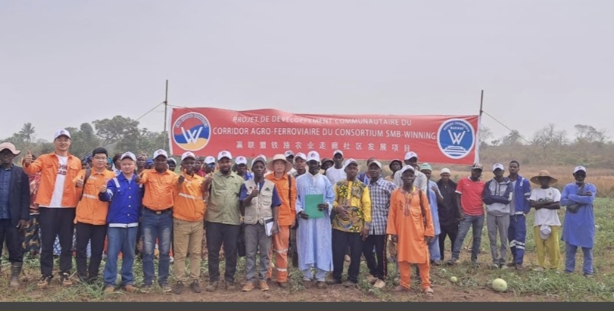 Boké-Malapouya: Le Consortium SMB-Winning lance une vaste campagne de récolte de pastèques et maraîchage à Silipouya