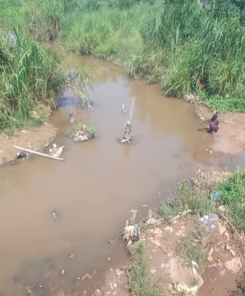 Lola : le marigot Tighen menacé par les déchets et la pollution