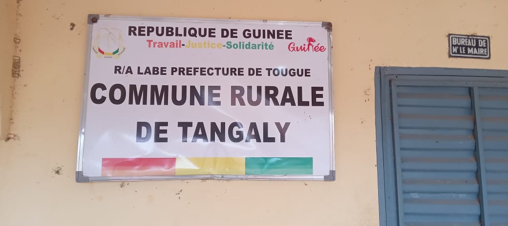 Tougué : Deux frères de la même famille périssent par noyade