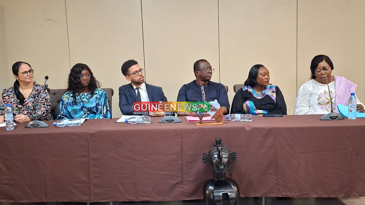 Conakry : avec l’appui d’Enabel, un mécanisme innovant pour combler le déficit de compétences en Guinée validé