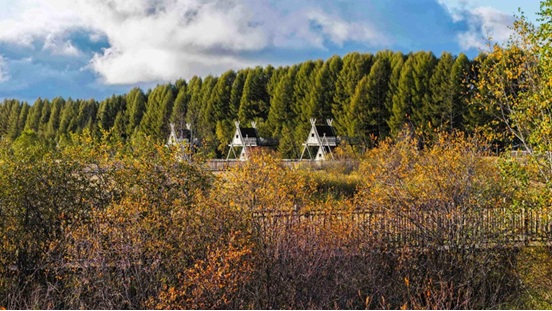 Hebei : la forêt artificielle de Saihanba obtient une « certification verte » pour accéder au marché international