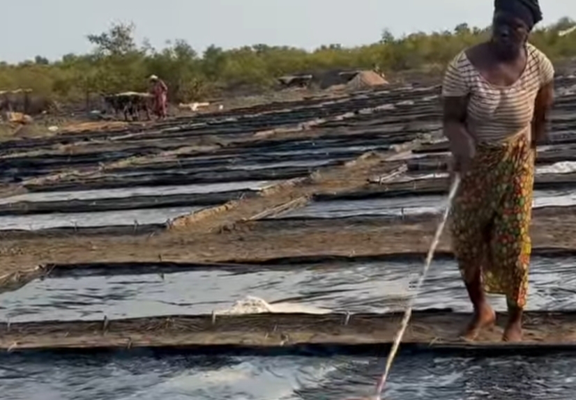 Siranka/Boffa : l’extraction traditionnelle du sel, entre survie économique et menace écologique