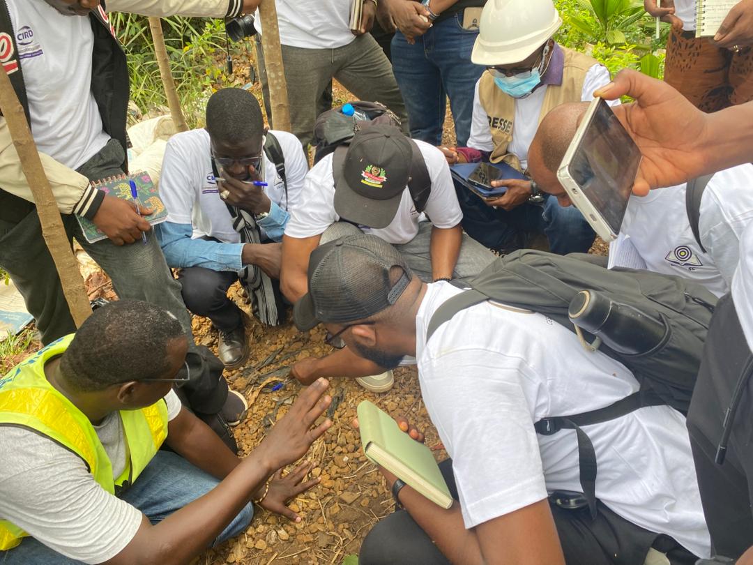 Protectiin du patrimoine national : La forêt de Kakimbo, entre vérités scientifiques et urgence de préservation