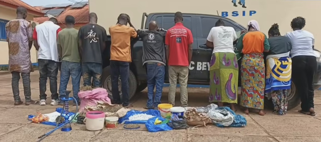 Guinean Anti-Drug Operation: 5 Women Among Those Arrested in Beyla